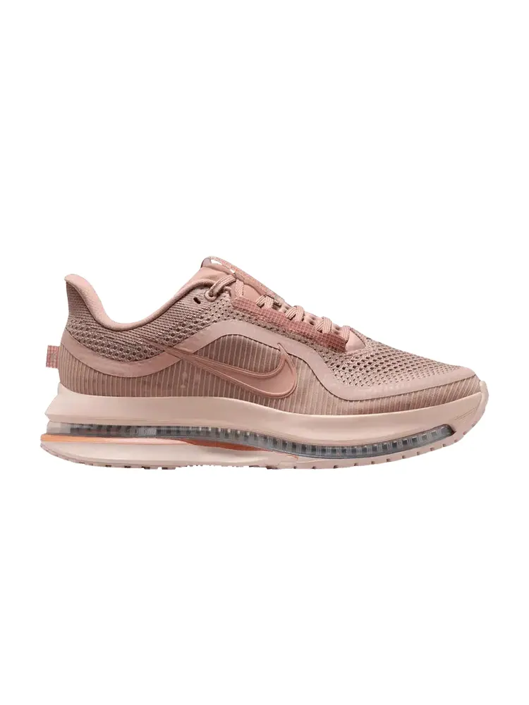 Кроссовки Wmns Pegasus Premium 'Metallic Rose Gold' — изображение 1 из 1