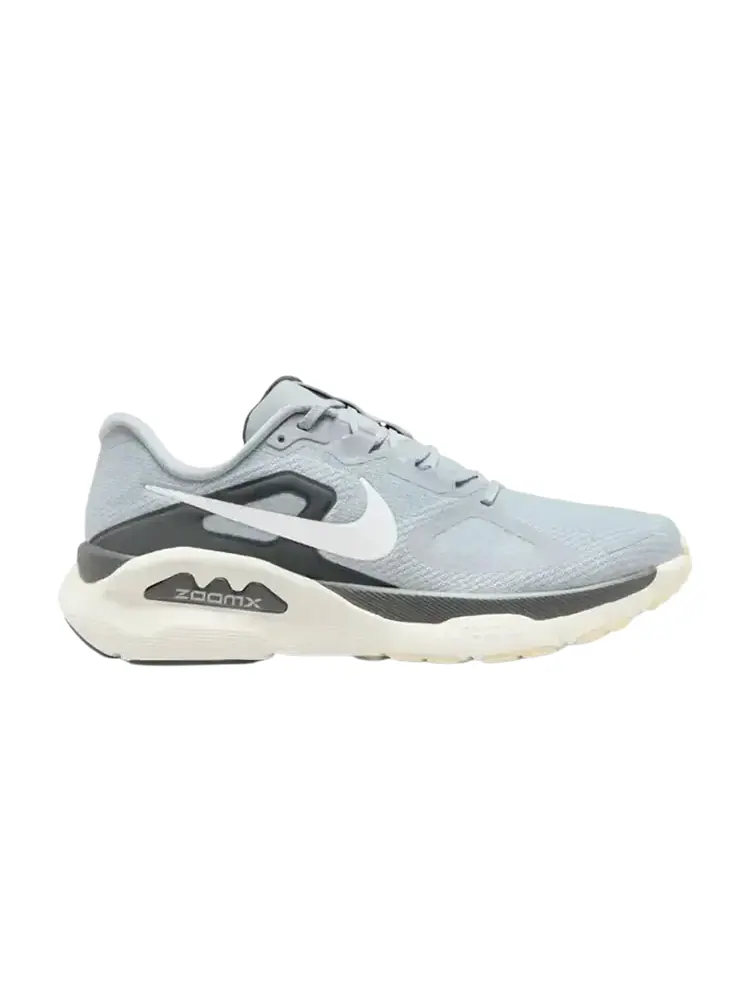 Nike Air Zoom Structure Plus 'Wolf Grey Anthracite' — изображение 1 из 1, серый