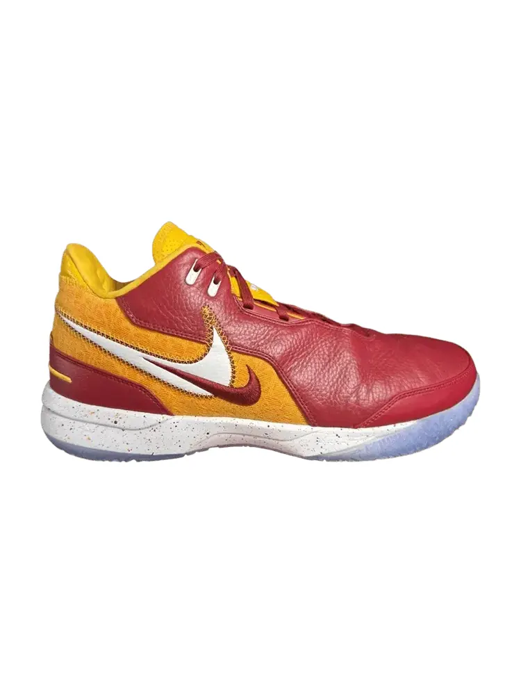 Кроссовки Nike Zoom LeBron NXXT Gen AMPD, USC Away PE — изображение 1 из 1, красный