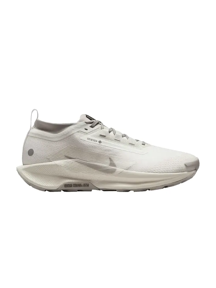 Кроссовки Pegasus Trail 5 GORE-TEX 'Summit White Light Bone' — изображение 1 из 1, белый светлый