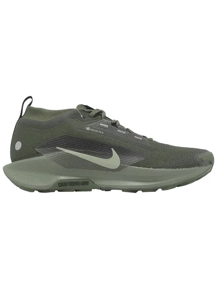 Кроссовки Nike Pegasus Trail 5 GORE-TEX 'Sequoia Cargo Khaki' — изображение 1 из 1, зеленый