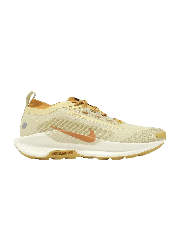 Кроссовки Nike Pegasus Trail 5 GORE-TEX 'Team Gold Desert Ochre' — изображение 1 из 1, золотистый//золотистый