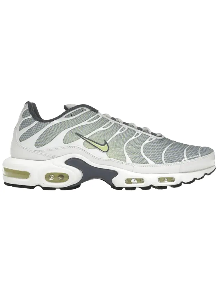 Кроссовки Nike Air Max Plus — изображение 1 из 1, серый