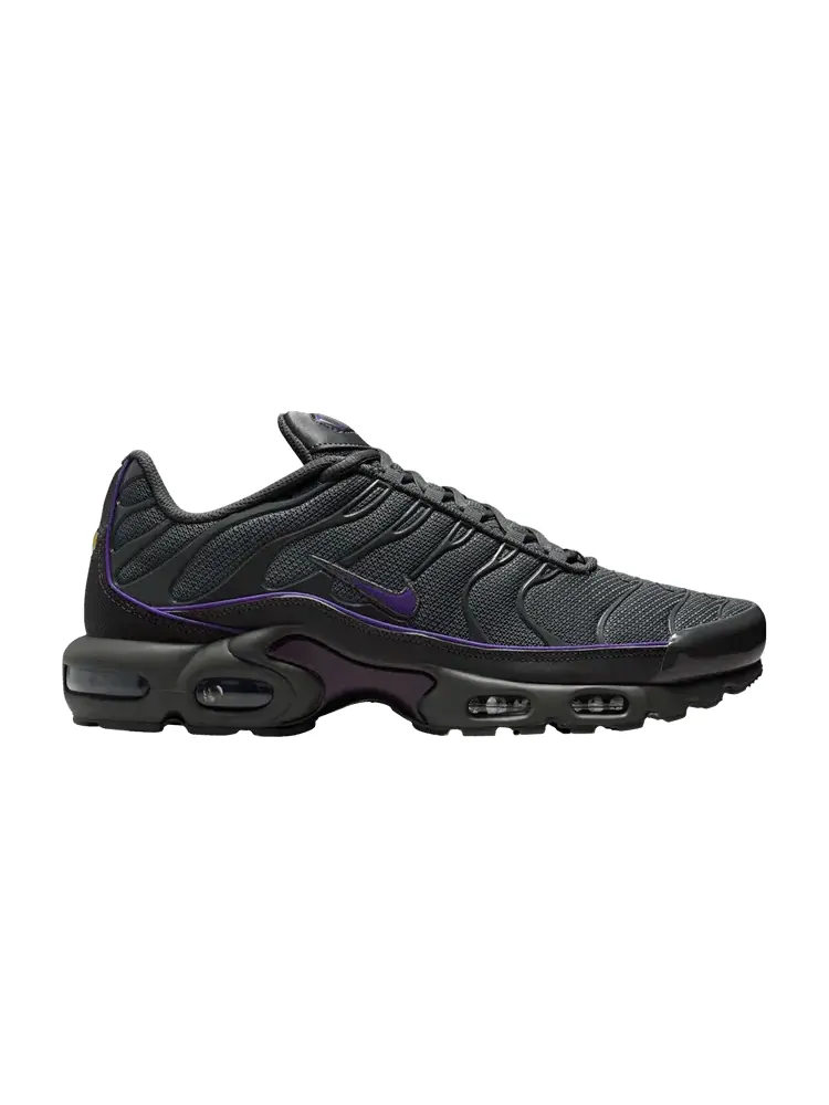 Кроссовки Nike Air Max Plus — изображение 1 из 1, серый