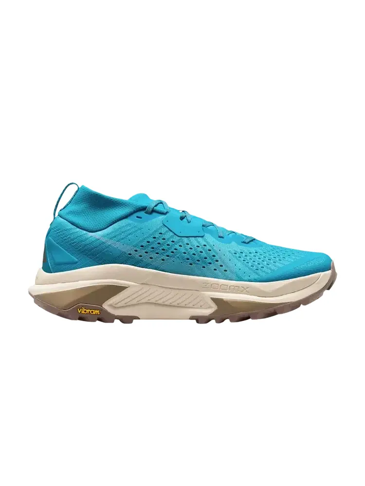 Кроссовки Nike ZoomX ACG Zegama — изображение 1 из 1, синий светлый коричневый