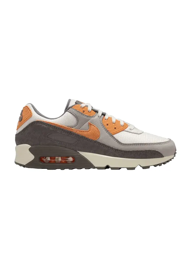 Кроссовки Air Max 90 Premium 'Flat Pewter Copper Moon' — изображение 1 из 1, серебристый