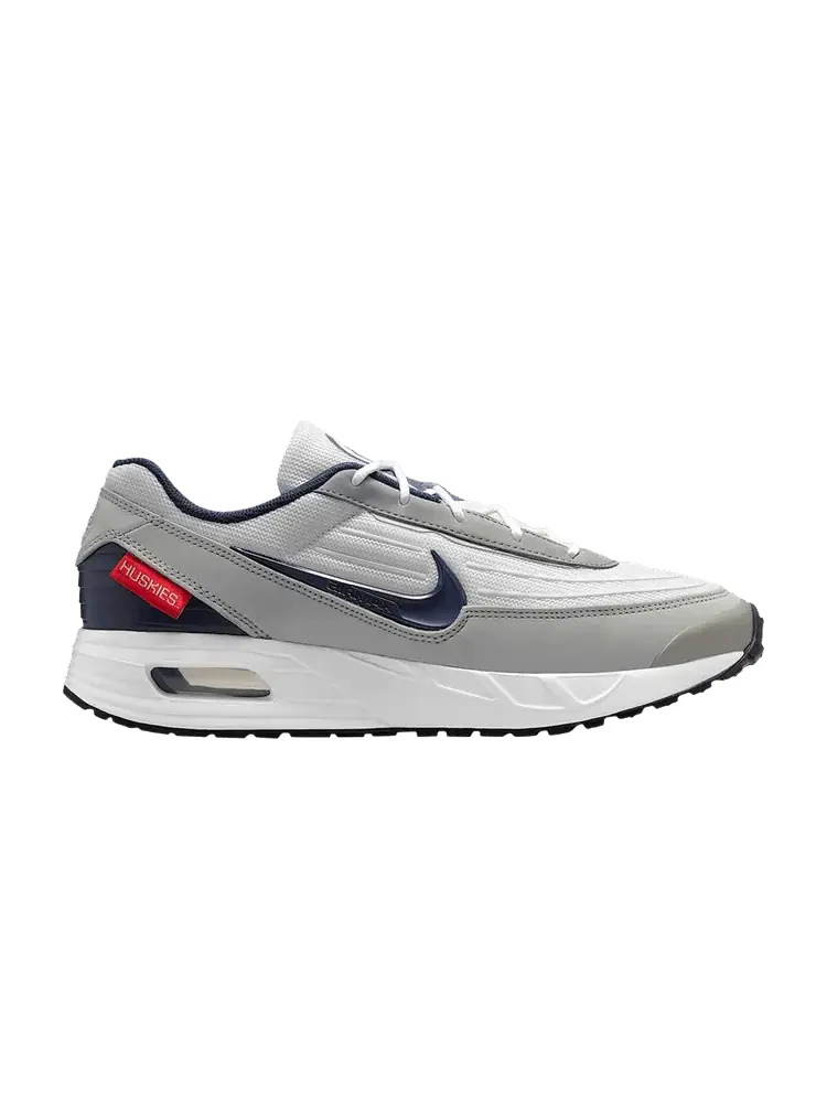 Кроссовки Nike NCAA x Air Max Verse, UConn — изображение 1 из 1, серый