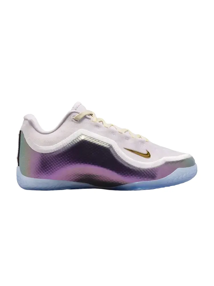 Кроссовки Nike LeBron 23 Elite 'For The Record' — изображение 1 из 1, белый