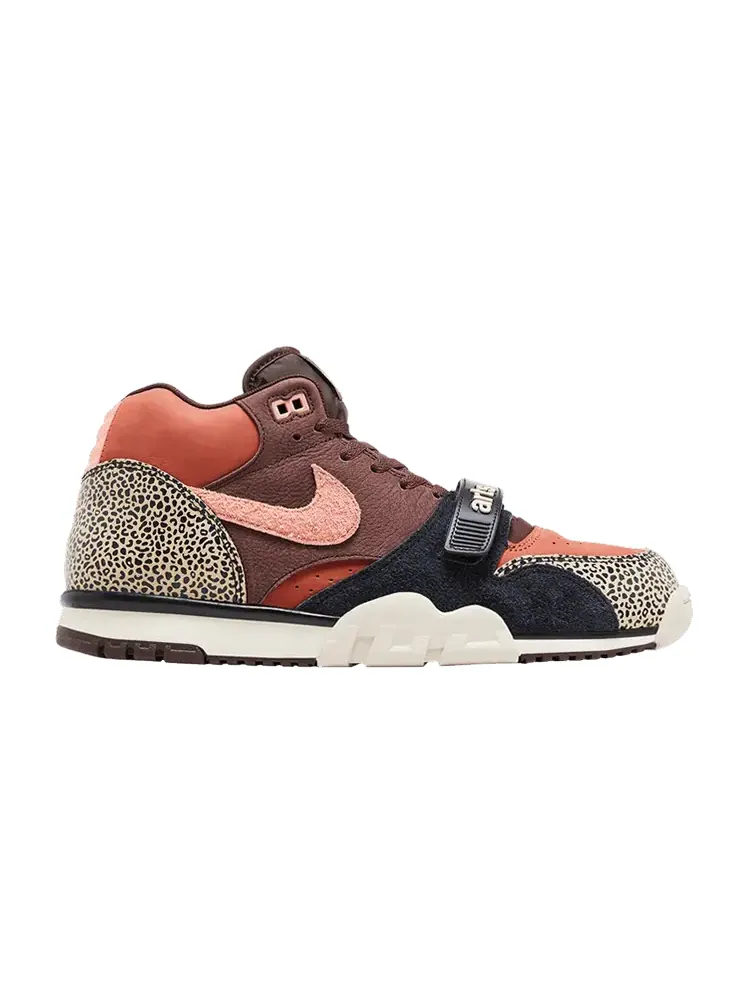 Кеды Nike Arts-Rec x Air Trainer 1 SB 'For Recreational Use' — изображение 1 из 9