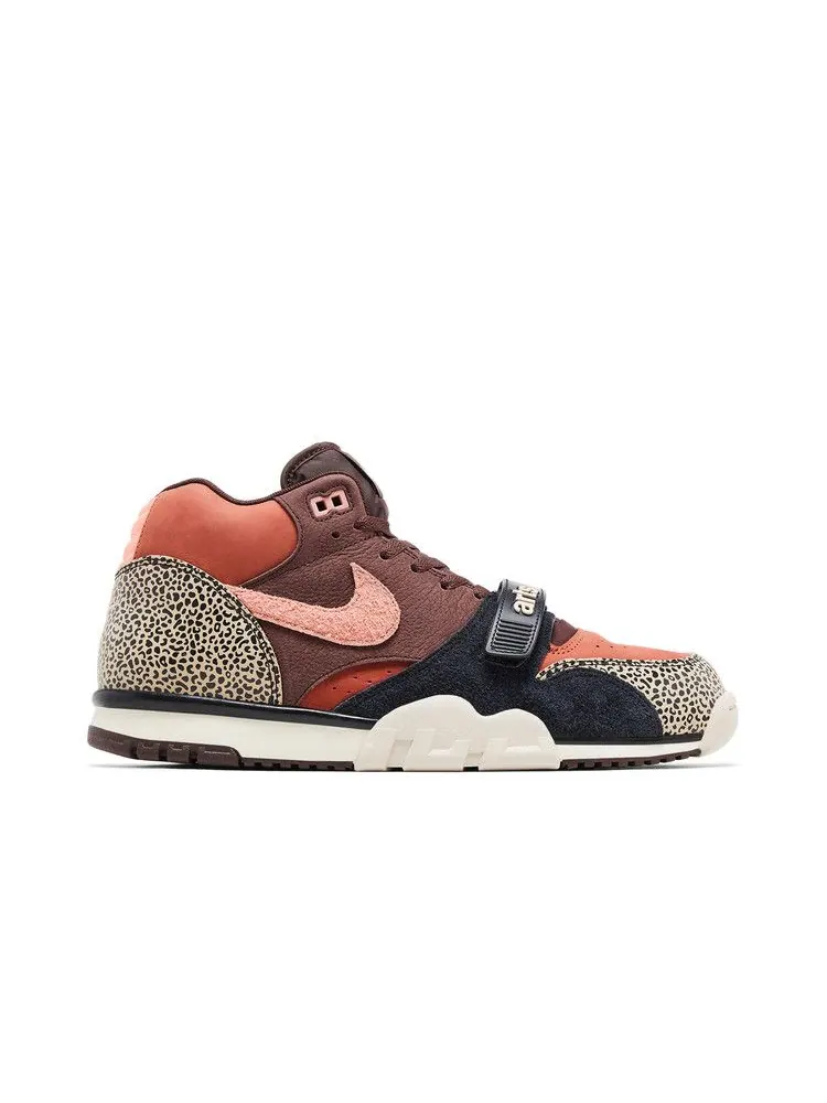 Кеды Nike Arts-Rec x Air Trainer 1 SB 'For Recreational Use' — изображение 2 из 9