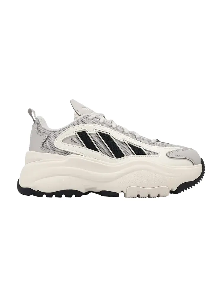 Кроссовки Wmns Ozgaia — изображение 1 из 1, серый черный