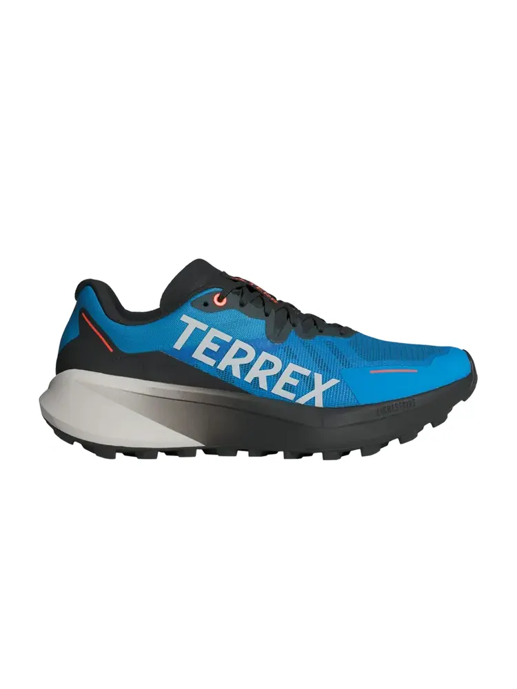 Кроссовки Terrex Agravic 3 — изображение 1 из 1, синий