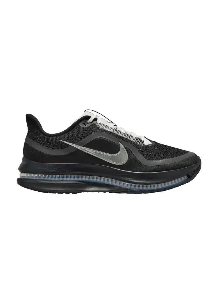 Кроссовки Nike Pegasus Premium SP — изображение 1 из 1