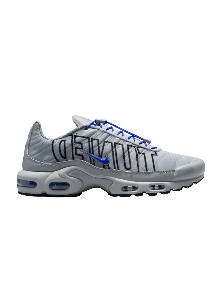 Кроссовки Nike Air Max Plus 'Tuned Pack - Wolf Grey Racer Blue'
