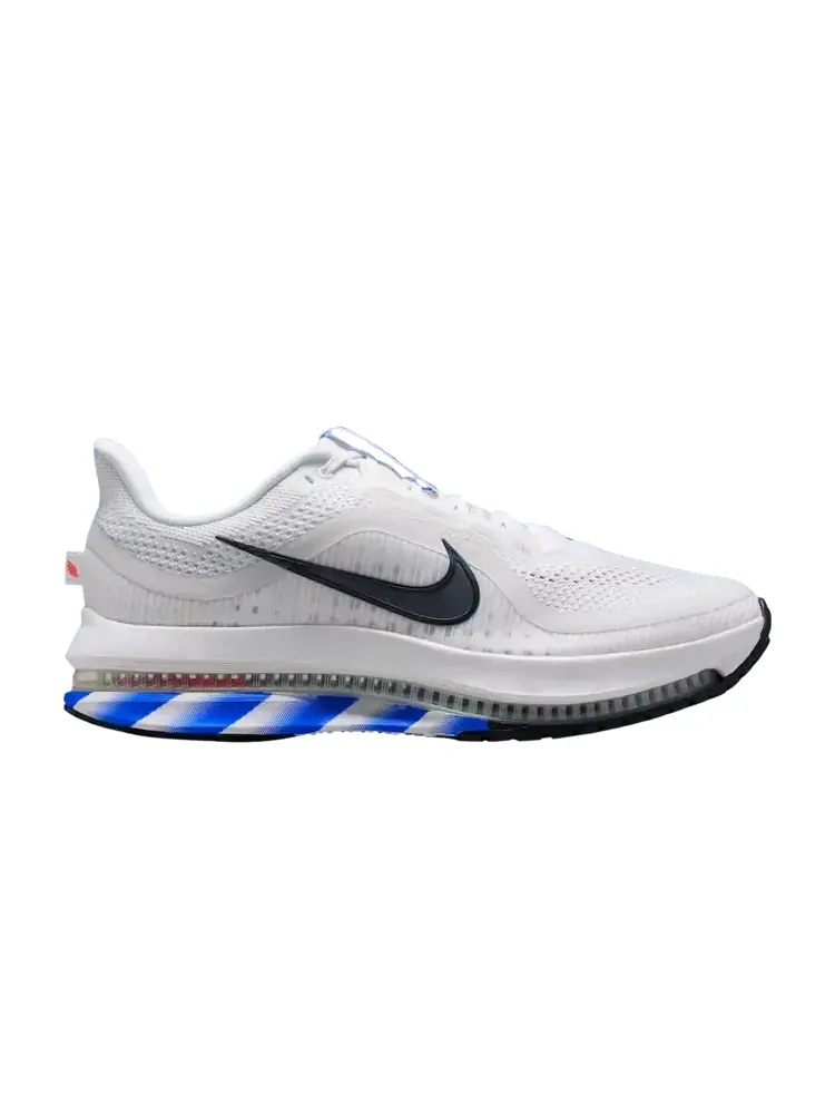 Кроссовки Nike Pegasus Premium CM 'White Racer Blue'
