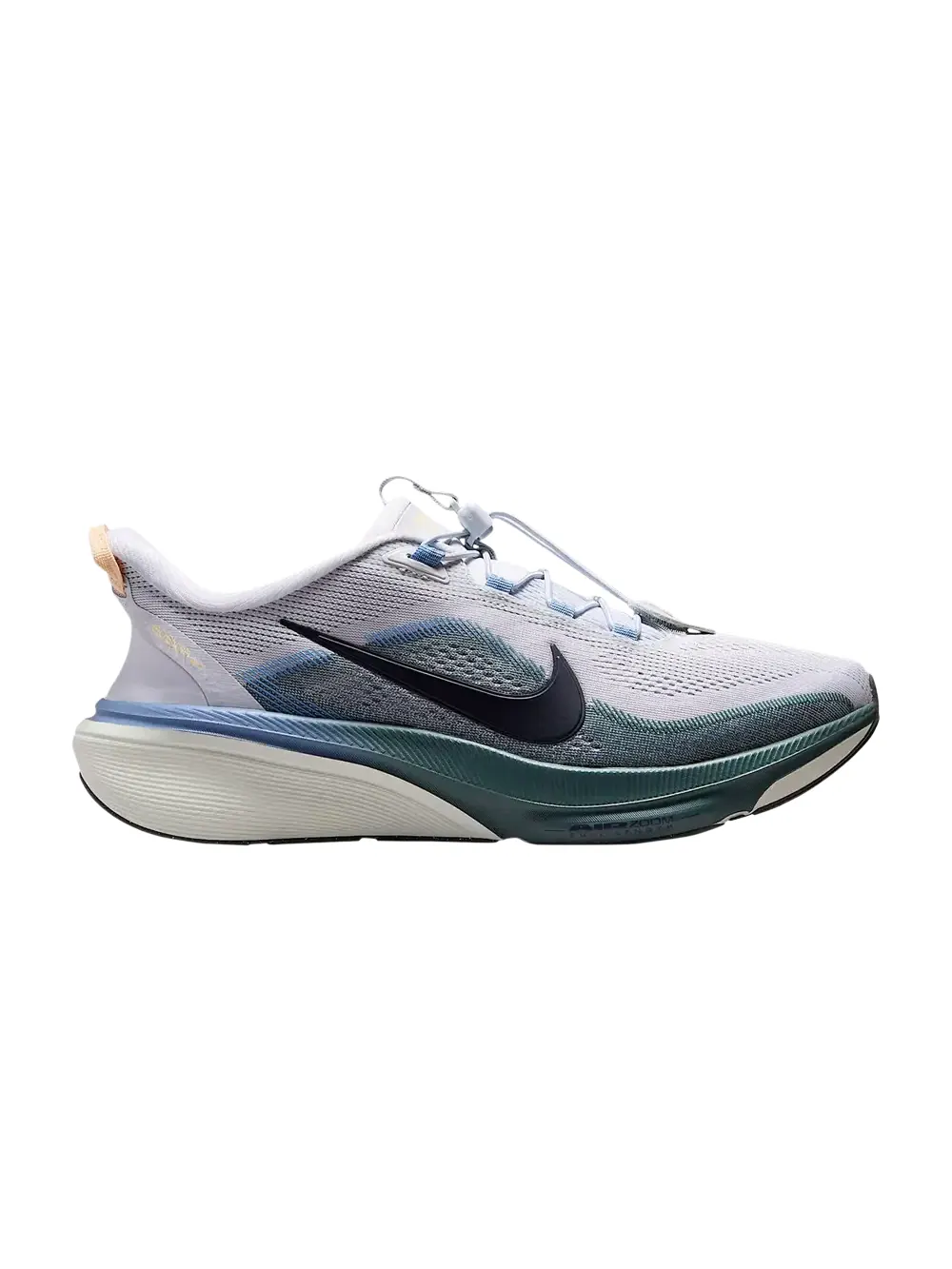 Кроссовки Nike Pegasus 42 Easyon — изображение 1 из 1, платиновый//синий/темный
