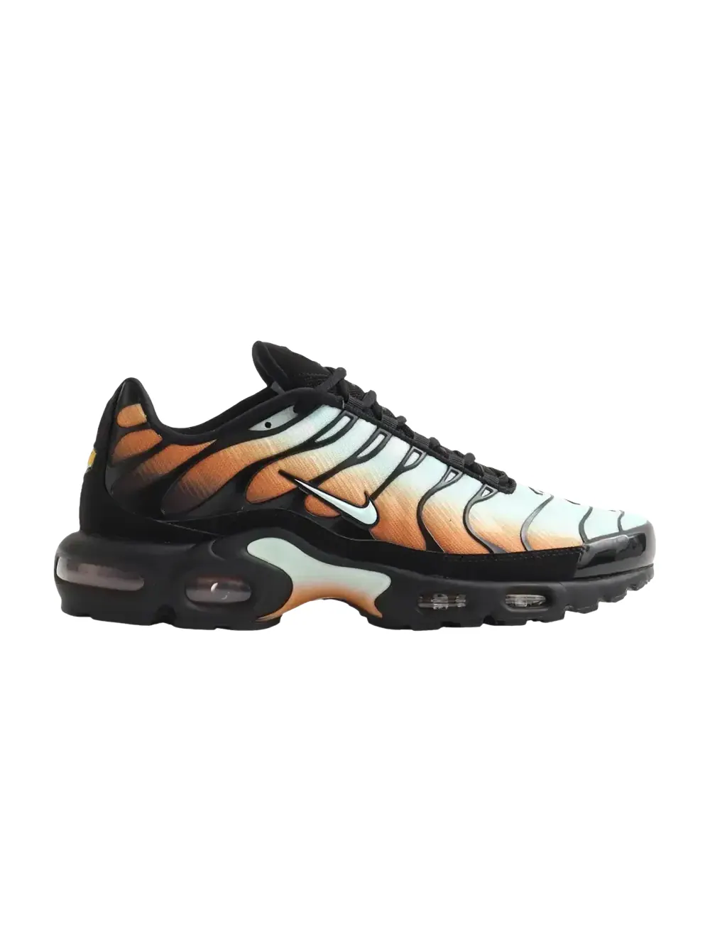 Кроссовки Nike Air Max Plus OG Premium — изображение 1 из 1, мульти-//черный