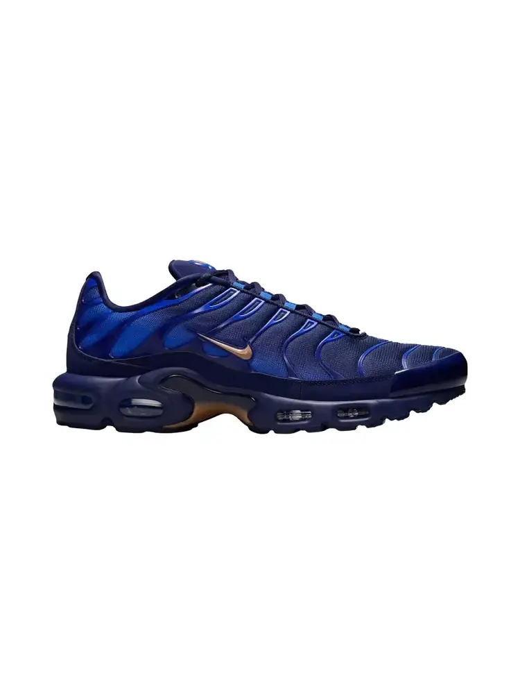 Nike Air Max Plus 'Французская футбольная федерация' — изображение 1 из 1, синий