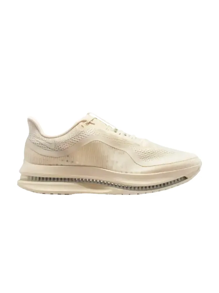 Nike Pegasus Premium 'Natural' — изображение 1 из 1, бежевый