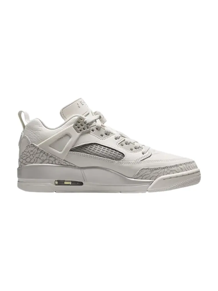 Кроссовки Wmns Air Jordan Spizike — изображение 1 из 1, лебедь