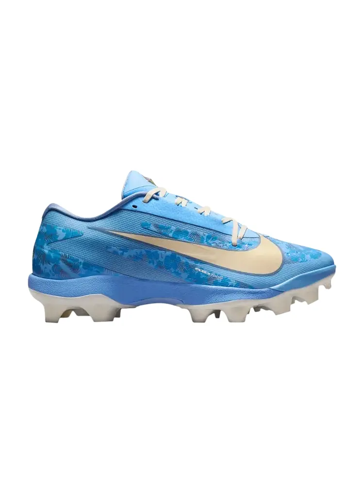 Кроссовки Nike Diamond Standout MCS Fathers Day — изображение 1 из 1, синий