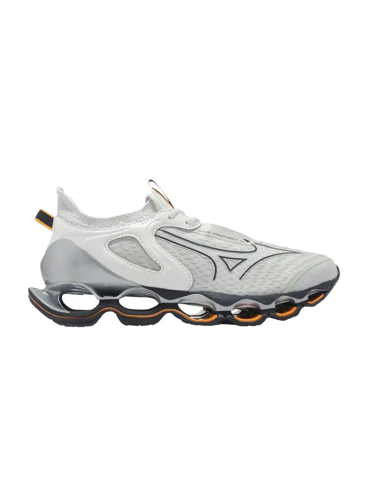 Кроссовки Mizuno Wave Prophecy 14 'Grey White' — изображение 1 из 1, серый/белый