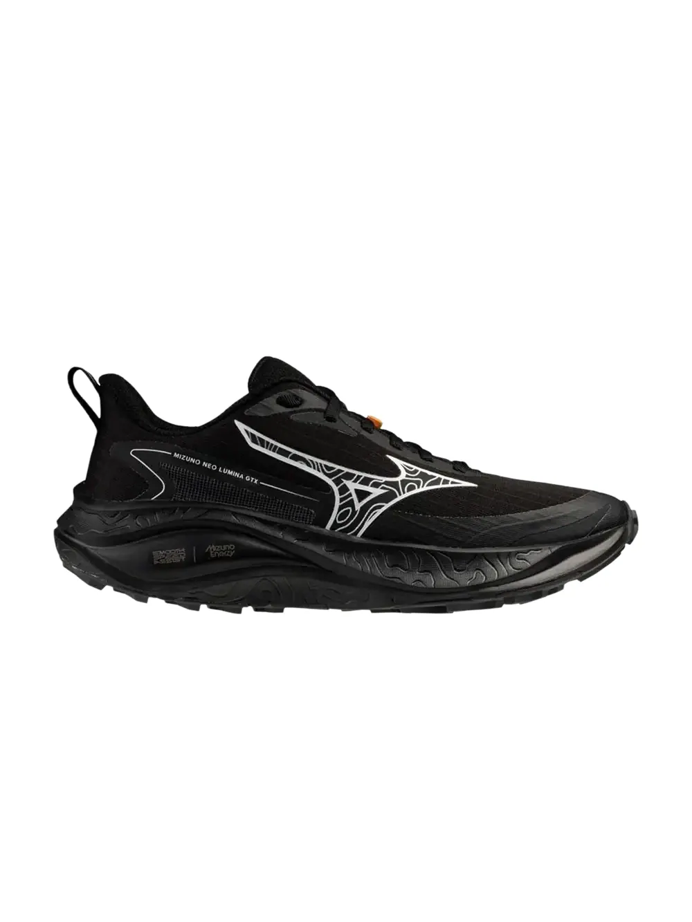 Кроссовки Mizuno Wmns Neo Lumina GTX — изображение 1 из 1, черный/серебристый
