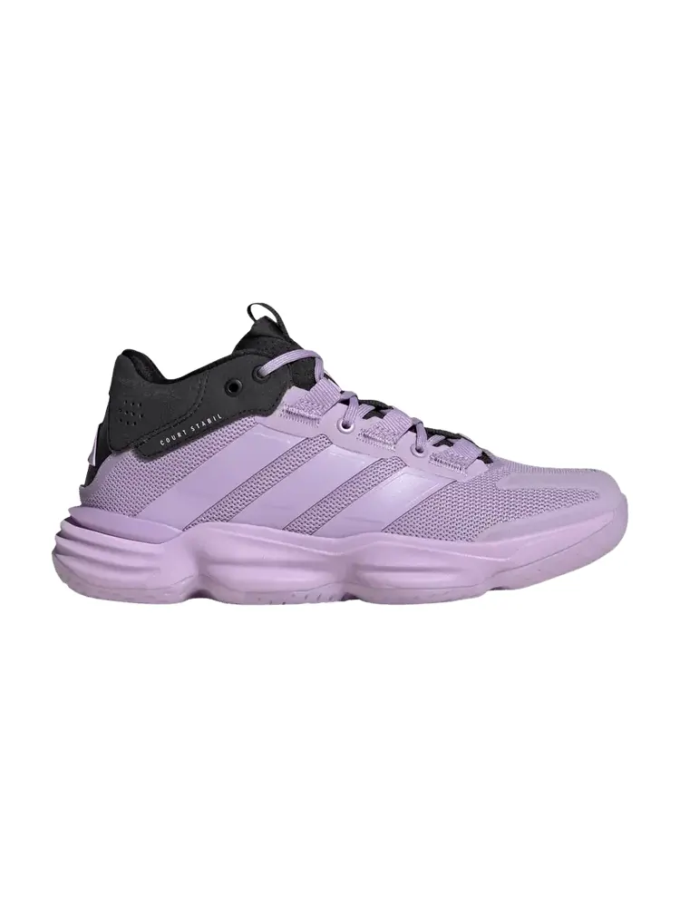 Кроссовки Wmns Court Stabil 'Powder Plum' — изображение 1 из 1, сливовый