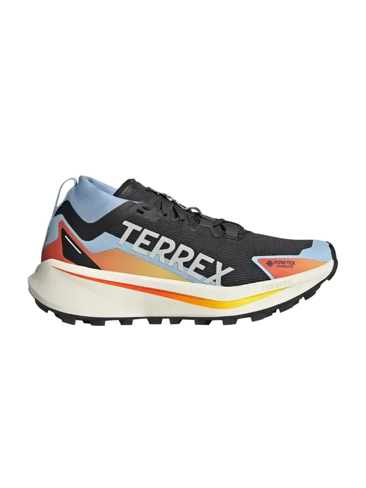 Adidas Wmns Terrex Agravic GORE-TEX Trail 'Core Black Cloud White Glow Blue' — изображение 1 из 1, черный