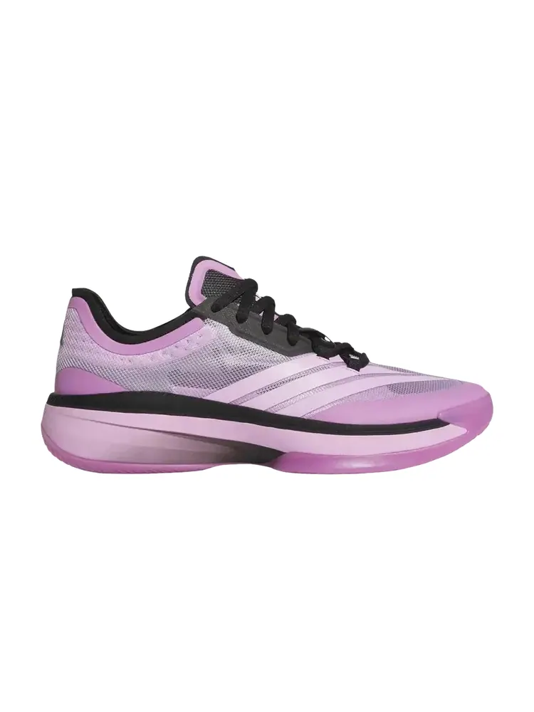 Кроссовки Adidas Adizero Select 2.0 Low — изображение 1 из 1, сливовый