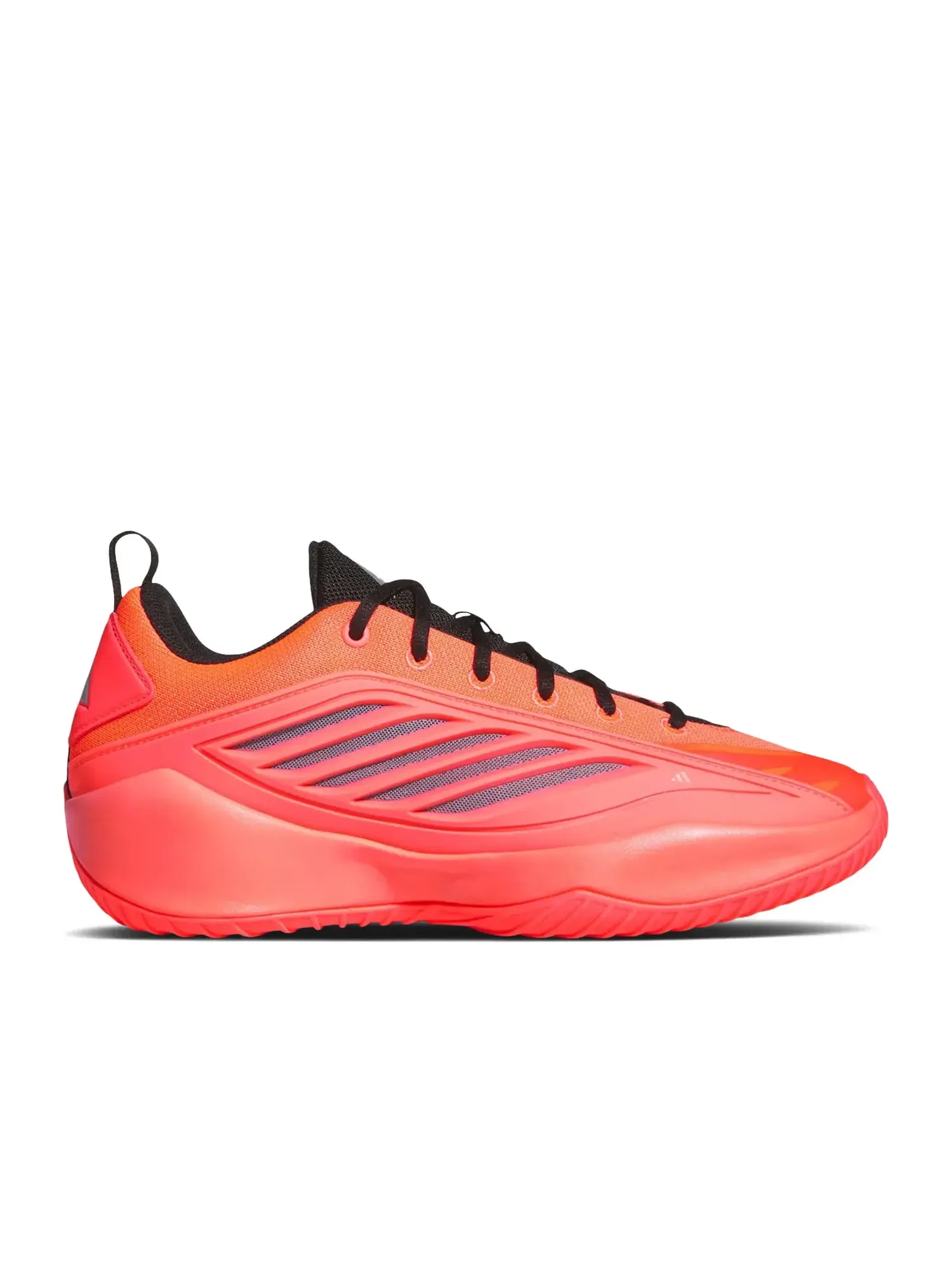 Кроссовки Adidas верит — изображение 1 из 1, черный