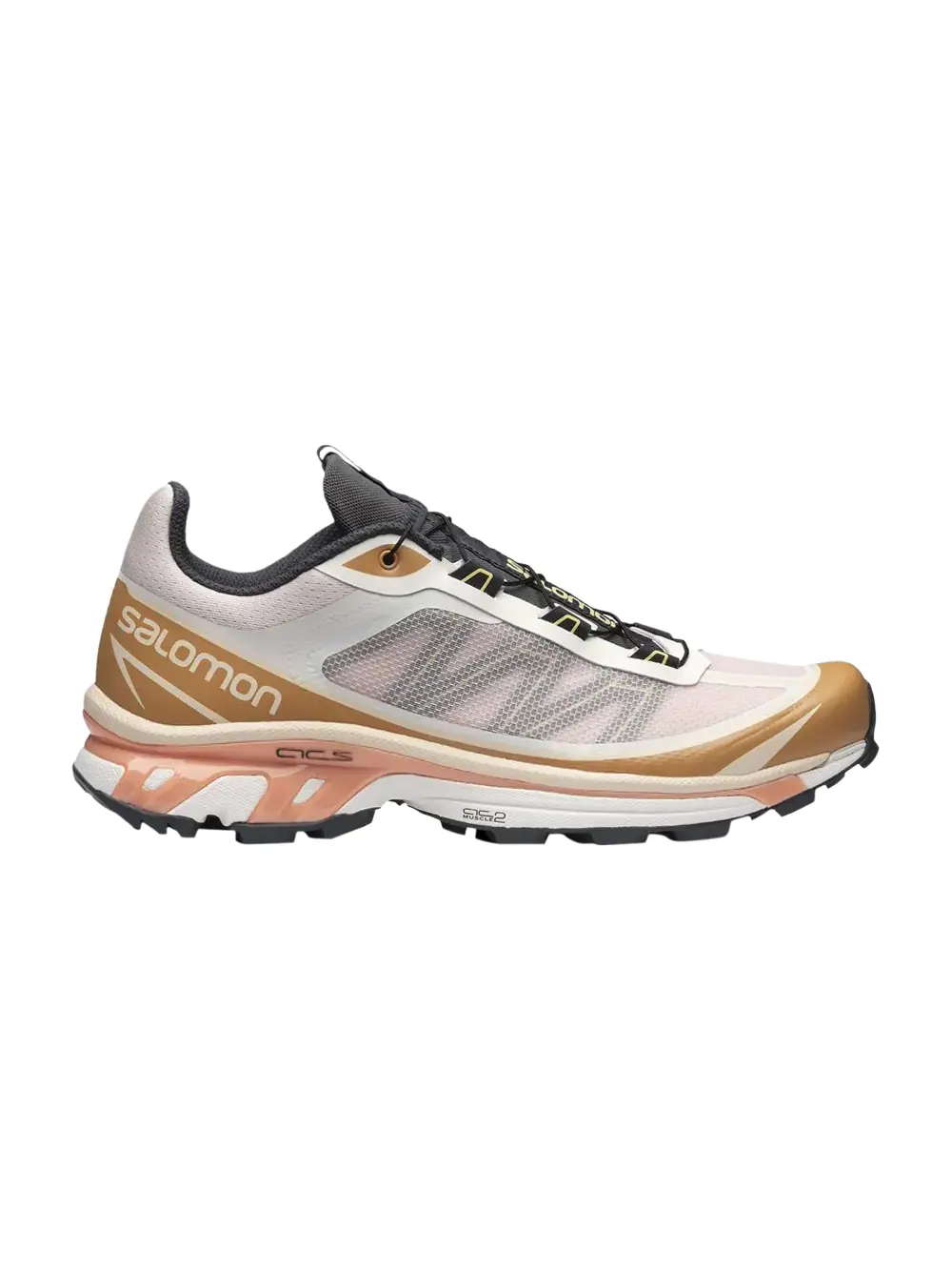 Кроссовки XT-6 FT Salomon — изображение 1 из 1, черный