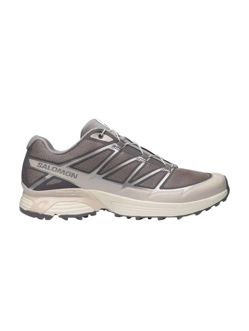 Кроссовки Salomon XT-Pathway 2 — изображение 1 из 1, серебристый