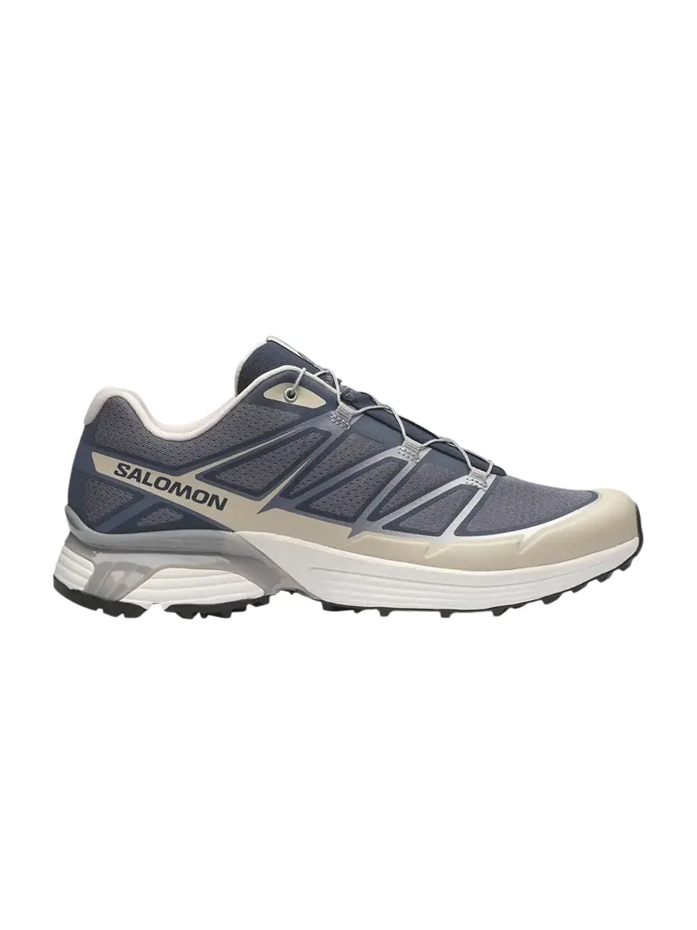 Кроссовки Salomon XT-Pathway 2 — изображение 1 из 1, серебристый