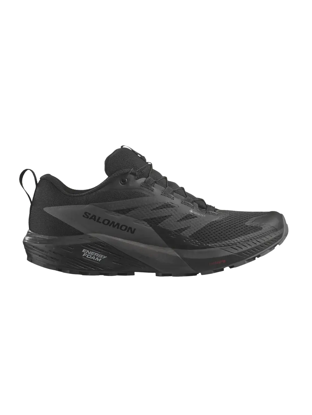 Кроссовки Sense Ride 5 GORE-TEX Salomon — изображение 1 из 1, черный//черный