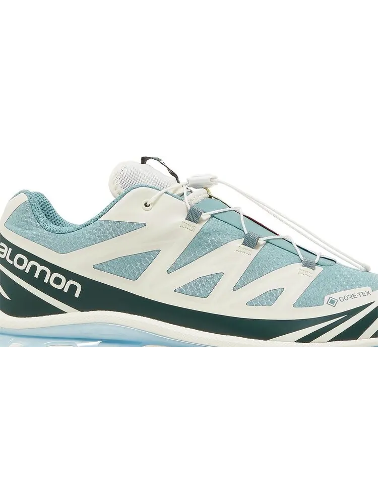 Кроссовки Kith x XT-6 GORE-TEX Trellis Ponderosa Pine — изображение 2 из 8, синий