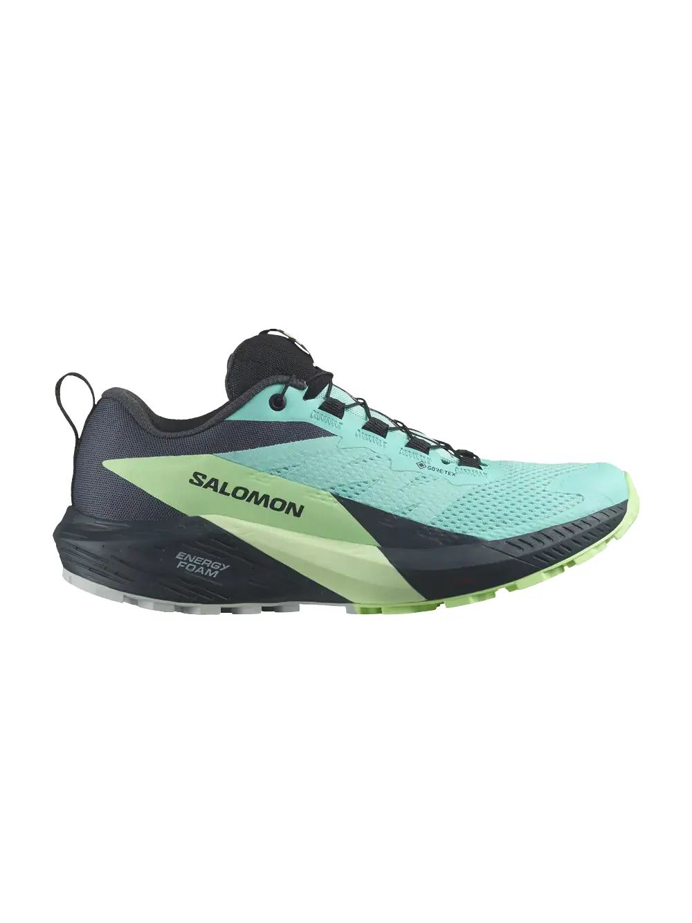 Кроссовки Wmns Sense Ride 5 GORE-TEX Salomon — изображение 1 из 1, синий/зеленый