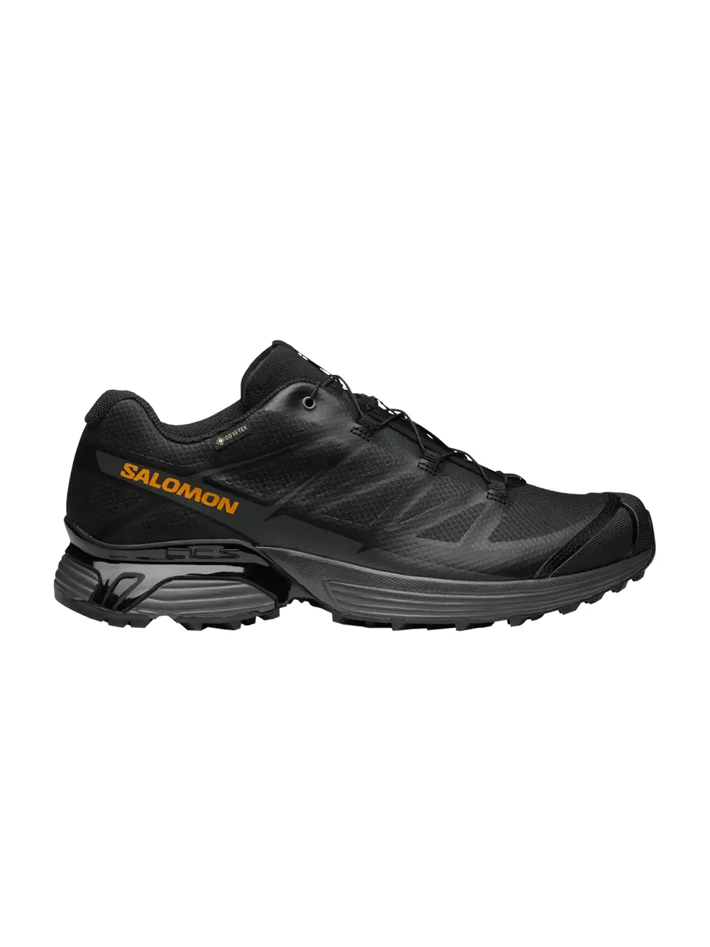 Кроссовки XT-Pathway GORE-TEX Salomon — изображение 1 из 1, черный/черный