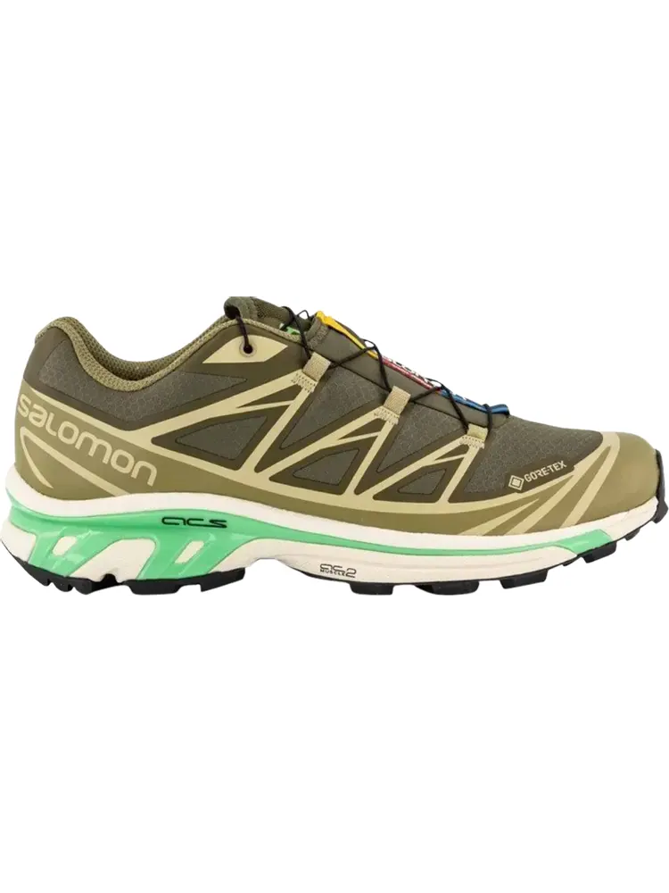 Кроссовки XT-6 GORE-TEX 'Olive Night Dried Herb' — изображение 1 из 1, зеленый