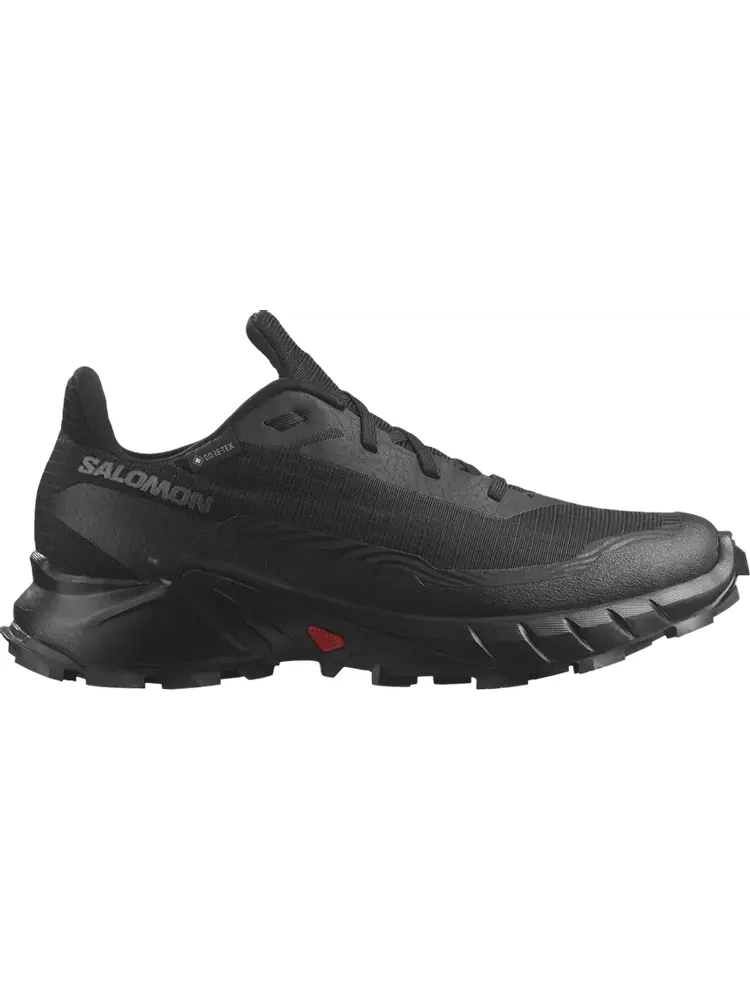 Кроссовки Wmns Alphacross 5 GORE-TEX 'Black Ebony' — изображение 1 из 1, черный