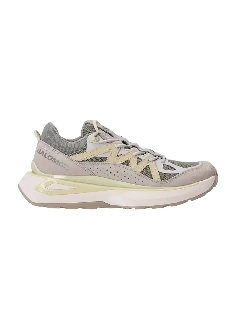 Кроссовки Salomon Odyssey Elmt Low 'Shadow Metal Aloe Wash' — изображение 1 из 1, серый