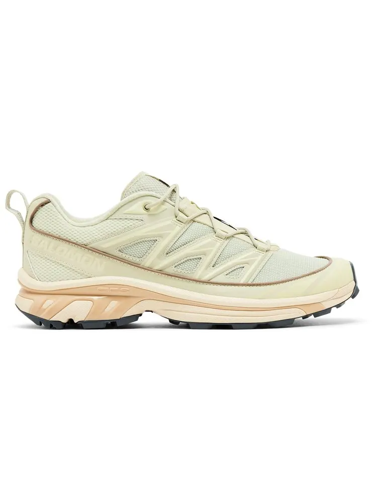 Кроссовки Salomon XT-6 Expanse 'Alfalfa Shortbread' — изображение 1 из 8, зеленый
