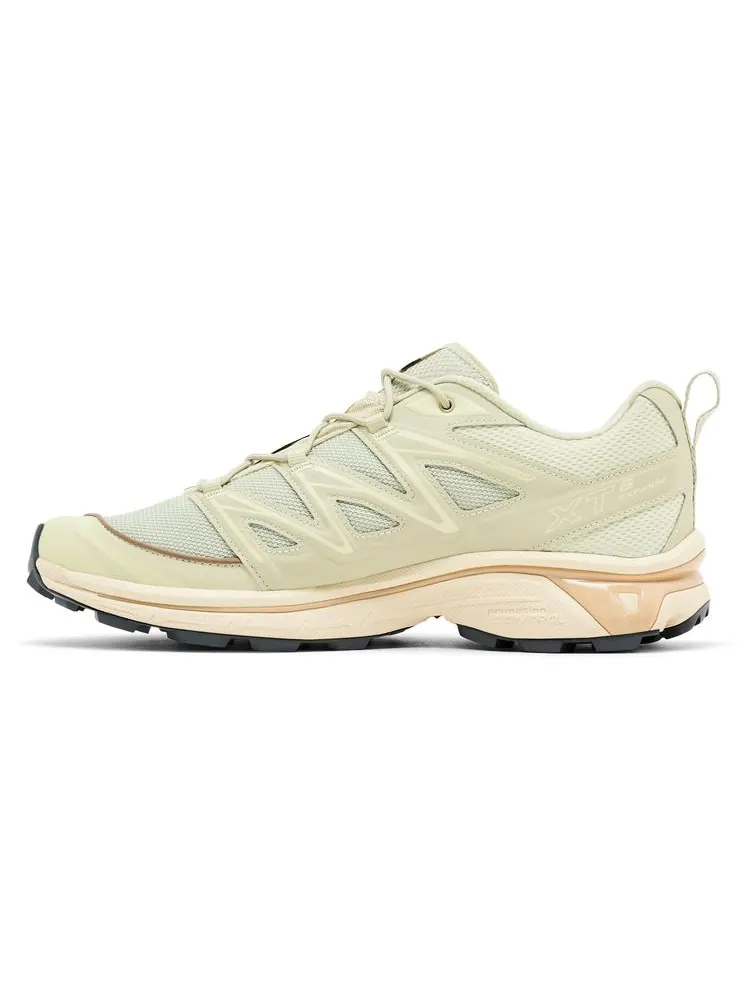 Кроссовки Salomon XT-6 Expanse 'Alfalfa Shortbread' — изображение 3 из 8, зеленый