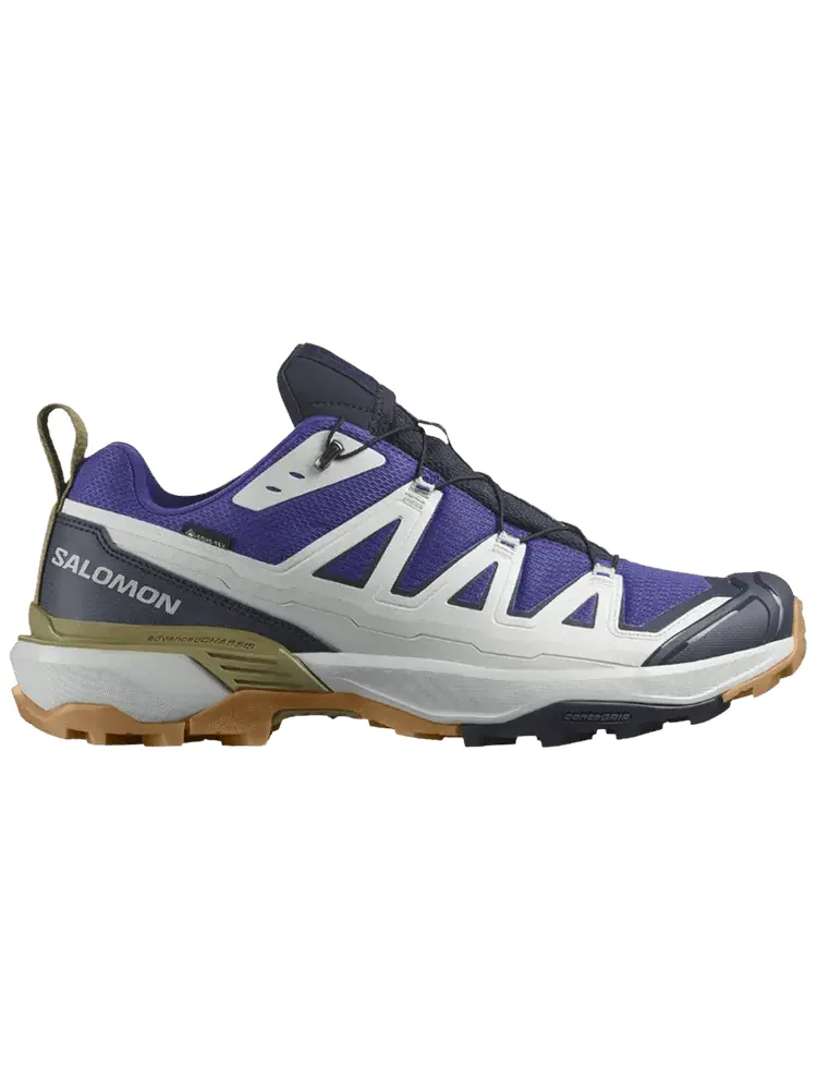 Кроссовки Salomon X Ultra 360 Edge GORE-TEX — изображение 1 из 1, синий