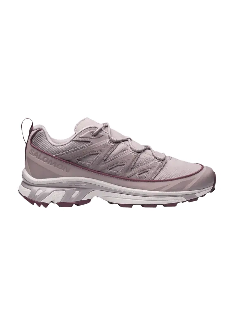 Кроссовки XT-6 Expanse Leather 'Lilac Ash' — изображение 1 из 1, серый