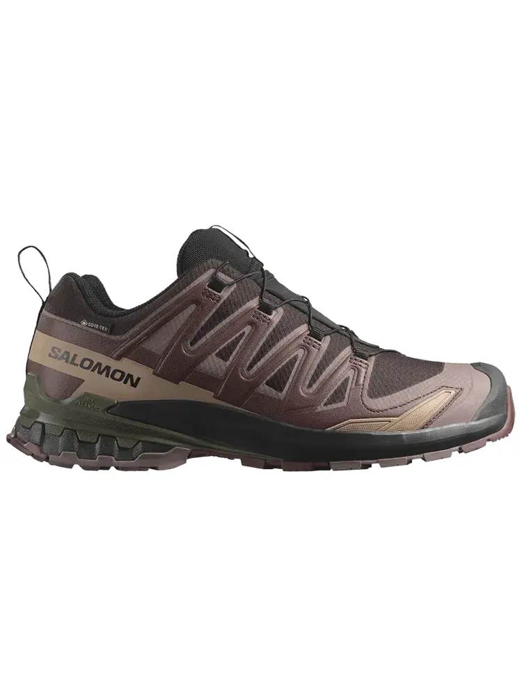 Кроссовки Salomon XA Pro 3D V9 GORE-TEX 'Rum Raisin' — изображение 1 из 1, фиолетовый
