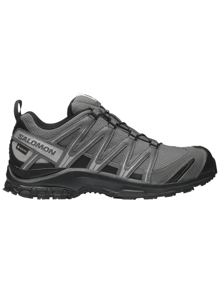 Кроссовки Salomon XA Pro 3D GORE-TEX 'Pewter Silver Cloud' — изображение 1 из 1, серебристый