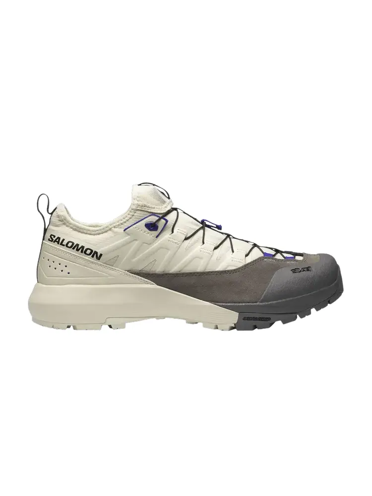 Кроссовки Salomon Alpinway Advanced Almond Milk Plum Kitten — изображение 1 из 1, кремовый