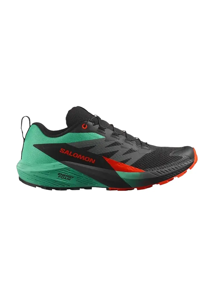 Кроссовки Salomon Sense Ride 5 Black Bay Cherry Tomato — изображение 1 из 1, черный