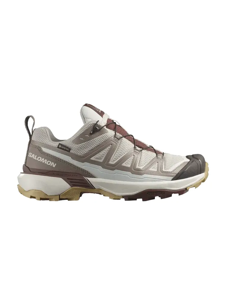 Кроссовки Salomon Wmns X Ultra 360 Edge GORE-TEX Silver Cloud Rum Raisin — изображение 1 из 1, серебристый
